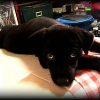 Photo de profil de Kikay