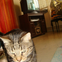 Photo de profil de Désiré 