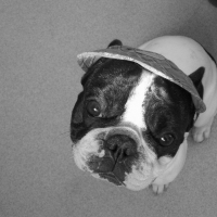 Photo de profil de Bart
