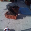 Photo de Beuffy