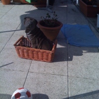 Photo de profil de Beuffy