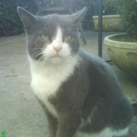 Photo de profil de Matougras