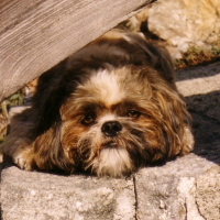 Photo de profil de Jump