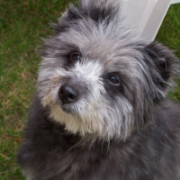 Photo de profil de Otye