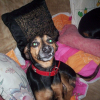 Photo de Pilou