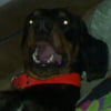 Photo de Boska