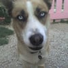 Photo de Saxel