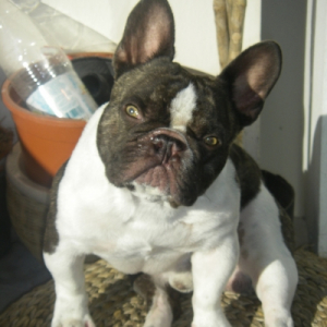 Photo de profil de Pablo