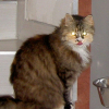 Photo de Venus