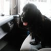 Photo de Dantes