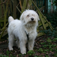 Photo de profil de Tsouky