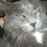 Photo de profil de Lolita