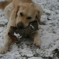 Photo de profil de Berny