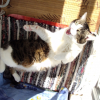 Photo de profil de Micky