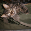 Photo de Chausette