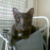 Photo de profil de Angel