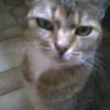Photo de Minnette, Ceylan