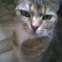 Photo de profil de Minnette