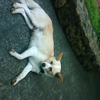 Photo de profil de Lolita