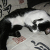 Photo de Channel
