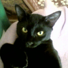 Photo de Guismo