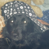 Photo de Bebe
