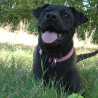 Photo de profil de Cléo