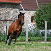 Photo de profil de Nabiça