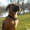 Photo de Daika