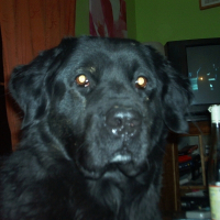 Photo de profil de Passie
