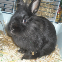 Photo de profil de Alice