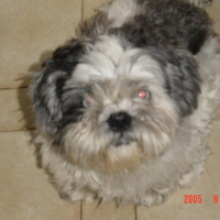 Photo de profil de Kiwy
