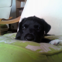 Photo de profil de Edwin