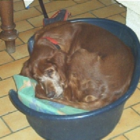 Photo de profil de Elsa