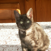 Photo de profil de Cachou