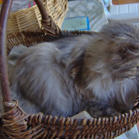 Photo de profil de Vénus