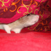 Photo de Kita