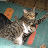 Photo de Bounty