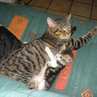 Photo de profil de Bounty