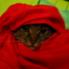 Photo de Hubert