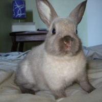 Photo de profil de Jasper