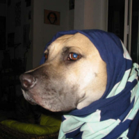 Photo de profil de Symba