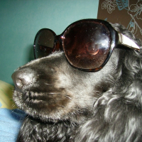 Photo de profil de Brume