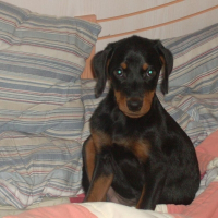 Photo de profil de Chanell