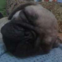 Photo de profil de Zeke