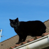Photo de Sixka