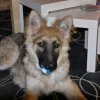 Photo de Elliot