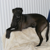 Photo de profil de Zara