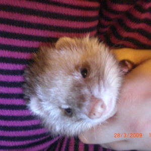 Photo de profil de Kira