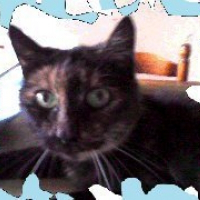 Photo de profil de Lilli